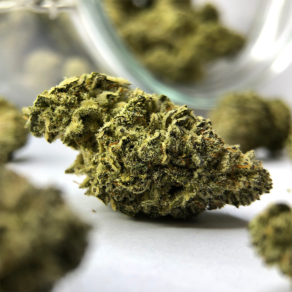 สายพันธุ์กัญชา Cluster Bomb อินดิก้า ไฮบริด