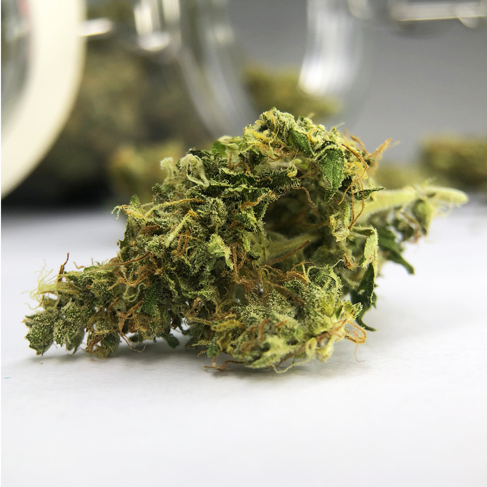 Donkey Kong Sativa Hybrid