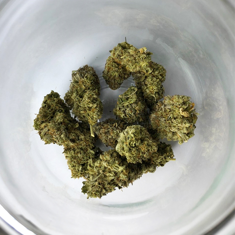 สายพันธุ์ Sour Diesel ซาติวา ไฮบริด