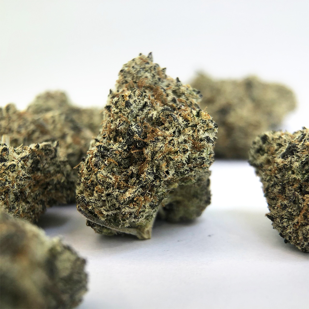 White Truffle   The Sweet And Earthy Aroma Of The White Truffle Cannabis Strain A72c1a4bc0 