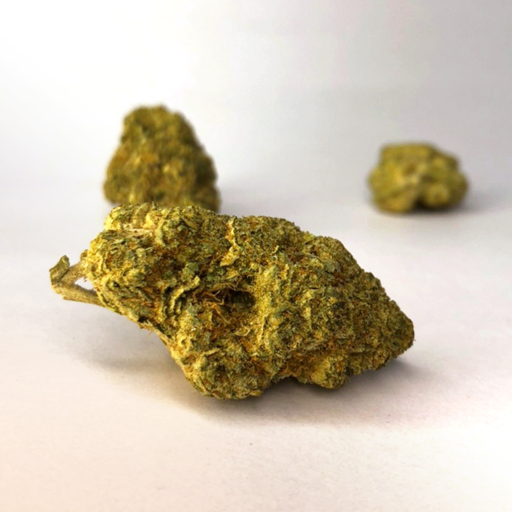 The White Angel seeds 